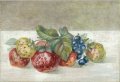 Erdbeeren
