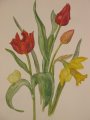 Frühling