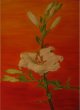 Lilien